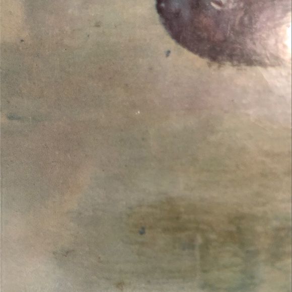 Hank Boj Lithograph 1959 Vintage Hot Plate Plaque - Picture 12 of 15